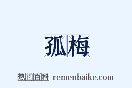 孤梅是什么意思的图片